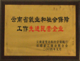 2004年被云南省工商聯(lián)合會(huì)授予“先進(jìn)民營企業(yè)稱號”